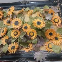 قاب گل سلطنتی  به قیمت خوب