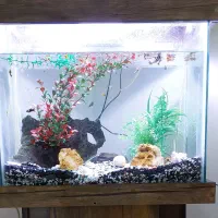 اکواریو ( فروش فوری)