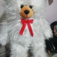 فروش یک عدد عروسک شاسخین