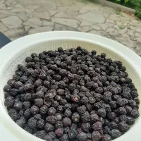 البالو خشک محلی