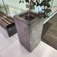 فلاور باکس بتنی