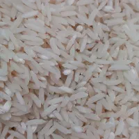 برنج دانه درشت اصل شمال (گیلان لنگرود)