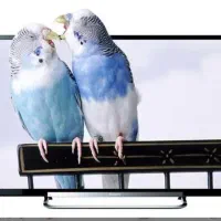 تلوزیون SONY 42 R500