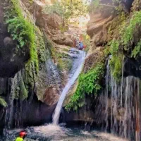 تور فنی تامرادی همراه با مجوز