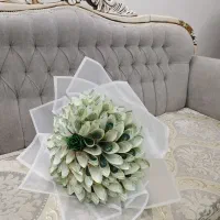 پول آرایی و باکس پول رز جادوان 06