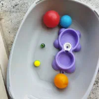 ظرف خاک گربه