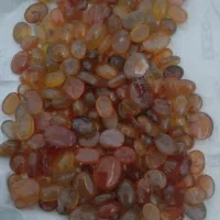 یمنی ریز  زنانه  حدود ۱۰۰۰ دانه  موجود است