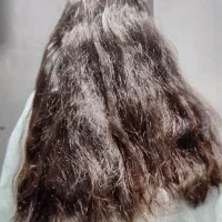 صافی مو گلوبال