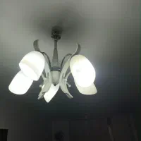 لوستر