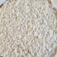 برنج هاشمی گیلان به شرط پخت