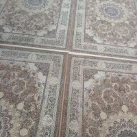 فرش ۱۲۰۰شانه