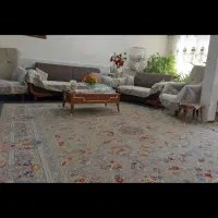 فروش ویژه فرش۷۰۰شانه اکریلیک‌جشنواره قربان تاغدیر