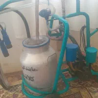 شیردوش