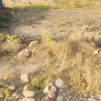 فروش زمین مسکونی تل خسرو