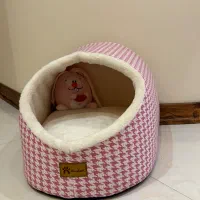 جاخواب گربه و سگ