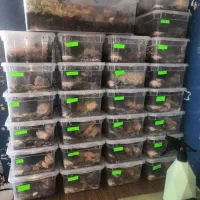 استخدام کاردرمنزل شغل خانگی کار در منزل با آموزش