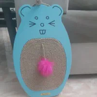 استرچ گربه