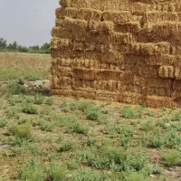 کاه ۱۰۰عدد