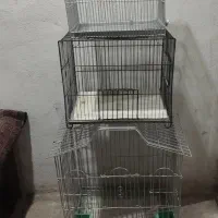 قفس پرنده