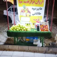 چرخ میوه