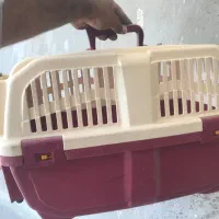 باکس پت