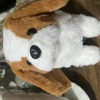 سگ بازی