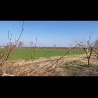 فروش زمین کشاورزی
