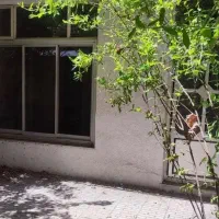 کلنگی ۲۰۲ متر بر ۱۰ شمالی