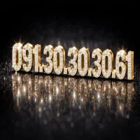 091.30.30.30.61