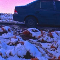 سمند|خودرو سواری و وانت|رفسنجان, |دیوار