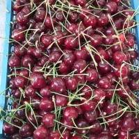 گیلاس ده بالا