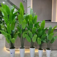 درختچه
