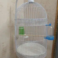 قفس ایستاده