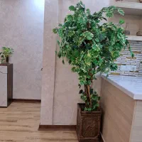 درخچه افرا مصنوعی