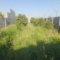 فروش باغچه ۶۰۰متری با سند ثبتی