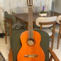 (۳عدد) گیتار c40
