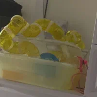 وسایل همستر نو و تمیز