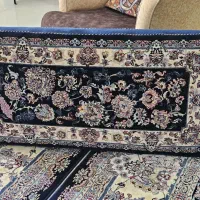 مختی    شیک طرحِ عرشیا