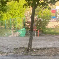 نیازمند نیرو کارواش پورسانتی