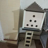 شب خواب نو دست ساز