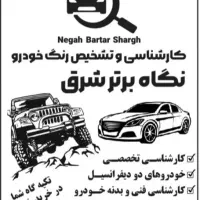 کارشناسی رنگ و فنی خودرو در شرق تهران(سیار)