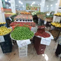 کارگر میوه فروشی