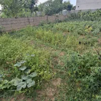 300متر-سند-تک-برگ-شهری-گورابزرمیخ
