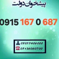 0915.167.0.687