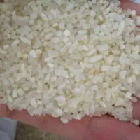 خورده برنج کامفیروزی