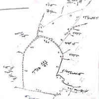 سند،ادعا،قولنامه،شمیم