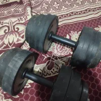 دنبل ورزشی