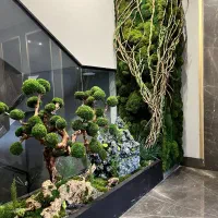 دیوار سبز خزه ای