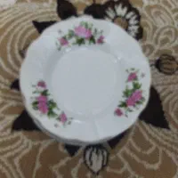 خورشت خوری گل سرخی