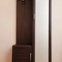 درآور آینه دار